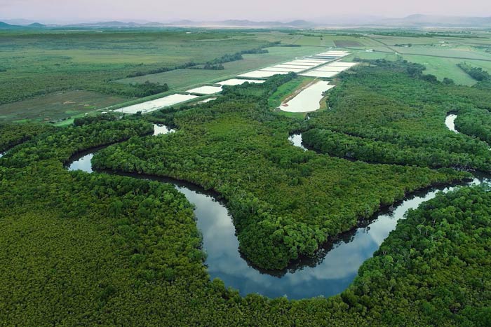 Aerial view of river system