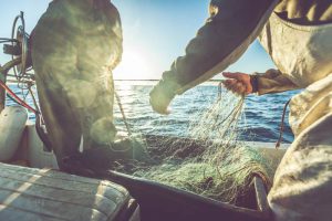 Fishermen pulling up net