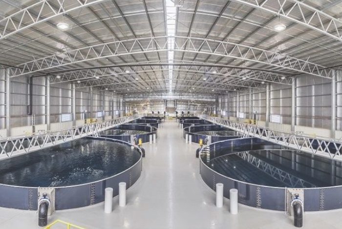 Mainstream Aquaculture Melbourne farm