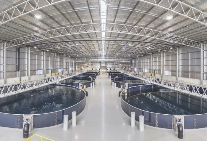 Mainstream Aquaculture Melbourne factory