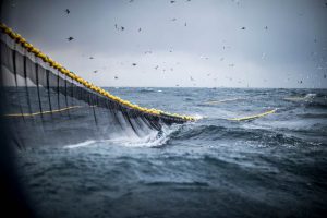 Trawling fishing net