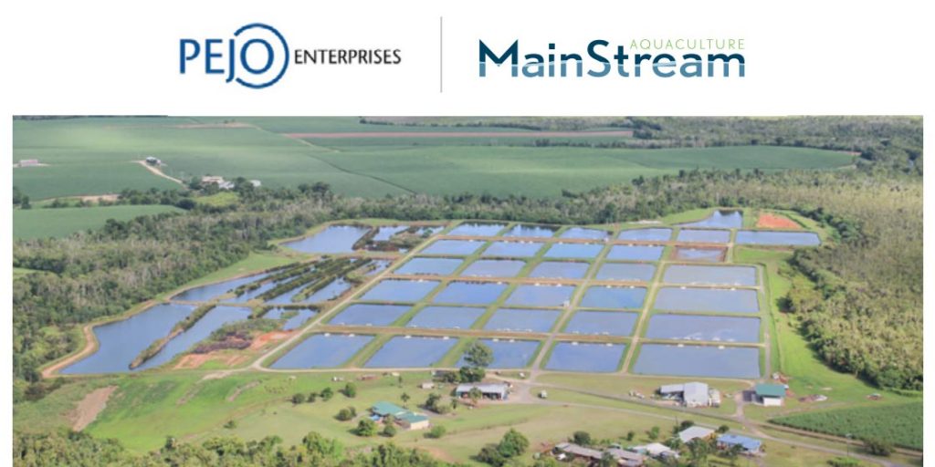 Mainstream merges with Pejo Enterprises, giving the business a pond farming platform in Far North Queensland.