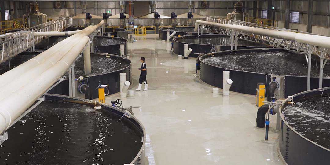 Mainstream Aquaculture facility