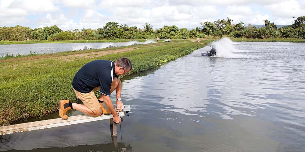 Testing fish pond